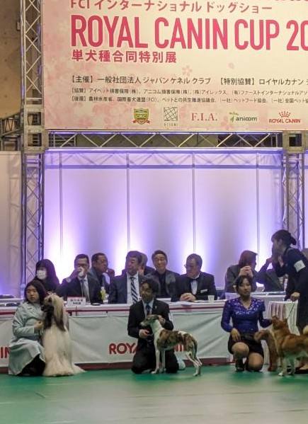 ロイヤルカナンカップ2025ドッグショーへ。